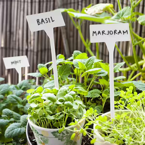 7387_PLANT LABELS.png